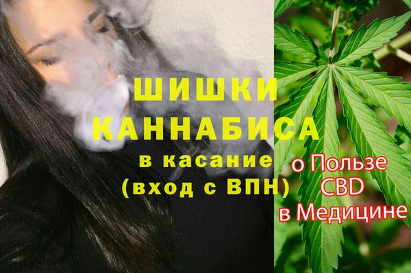 винт Бородино
