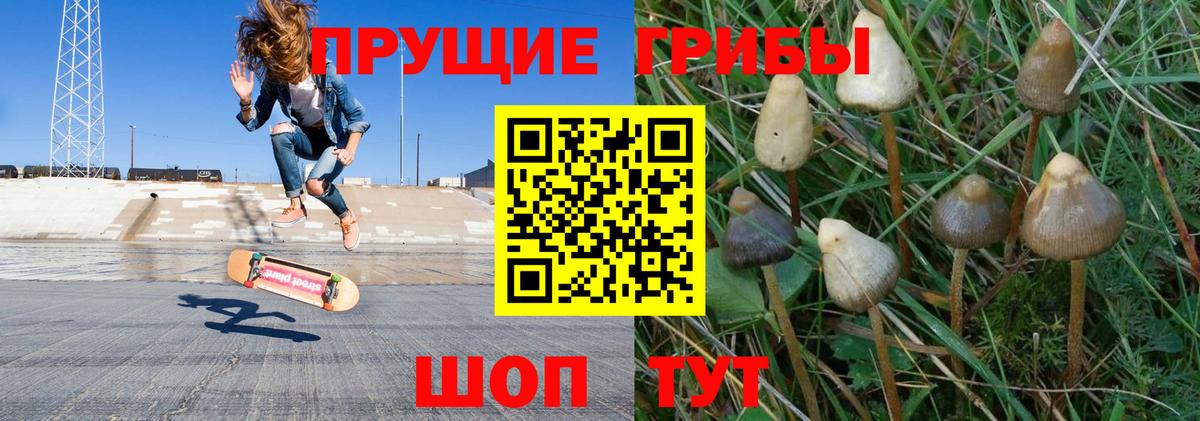 Псилоцибиновые грибы MAGIC MUSHROOMS  Вход с VPN  Гулькевичи 