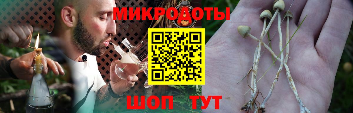 Псилоцибиновые грибы Psilocybine cubensis Гулькевичи